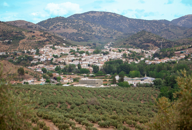 SCA Cooperativa San Rafael 3
