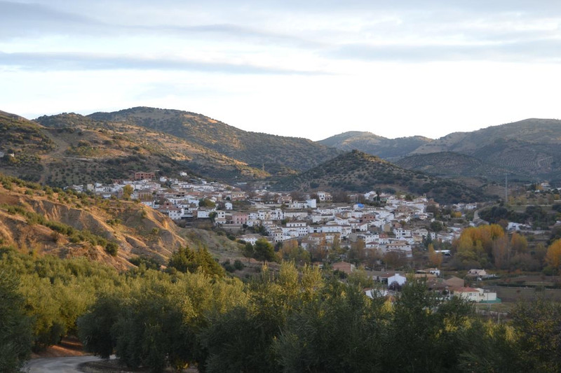Quesos Artesanos de Frailes 5